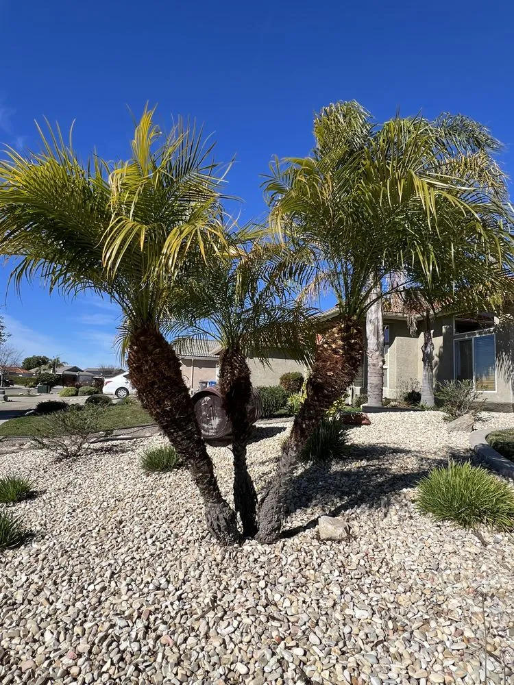 Expert landscape design experts serving San Luis Obispo, CA - Bela Vasquez Landscape Services