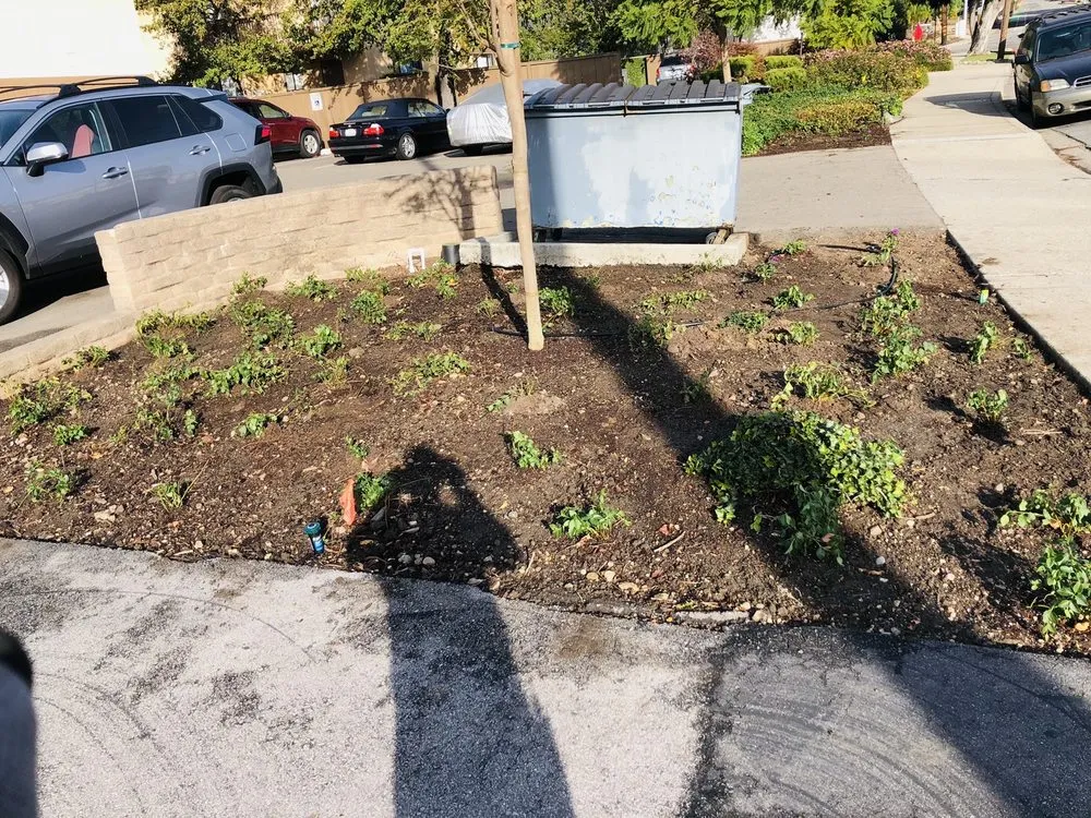 Expert garden landscaping in San Luis Obispo, CA by Bela Vasquez Landscape Services