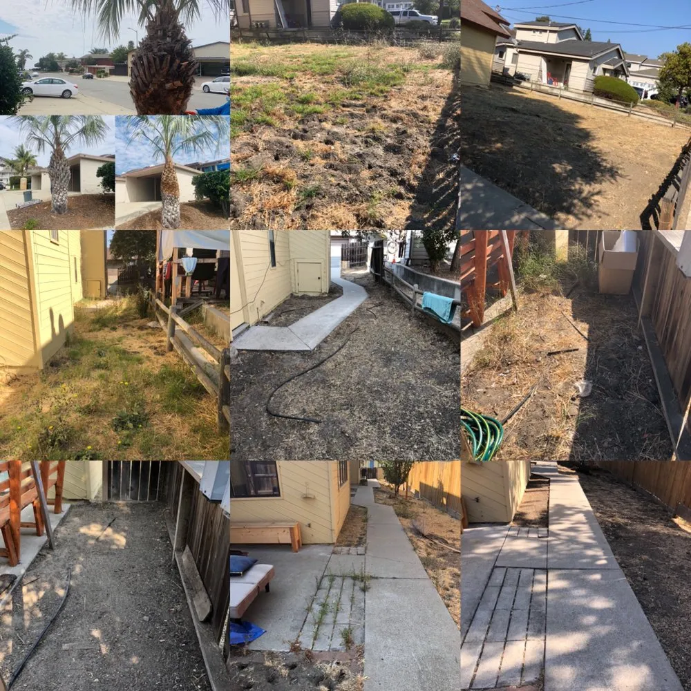 Professional landscape installation near you in San Luis Obispo, CA by Bela Vasquez Landscape Services