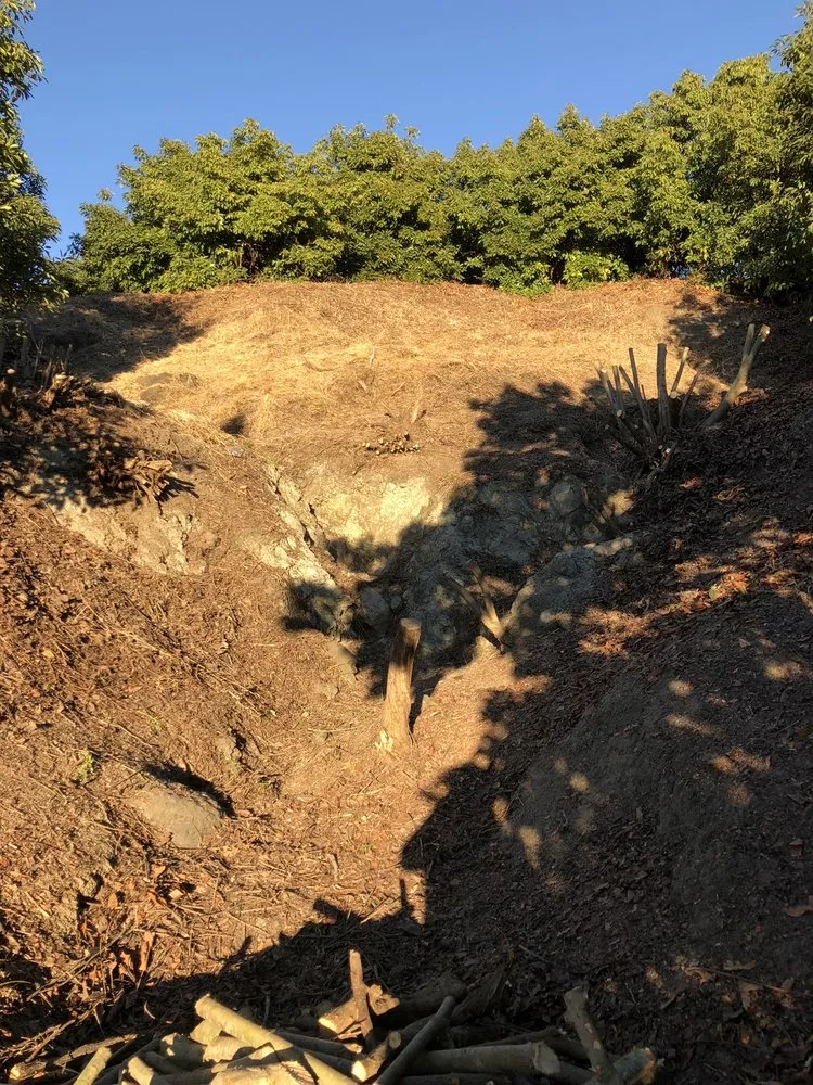 Professional lawn care service in San Luis Obispo, CA - Bela Vasquez Landscape Services