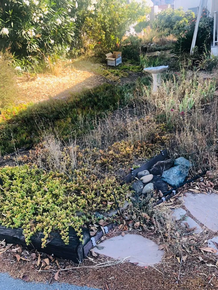 Custom lawn care service in San Luis Obispo, CA by Bela Vasquez Landscape Services