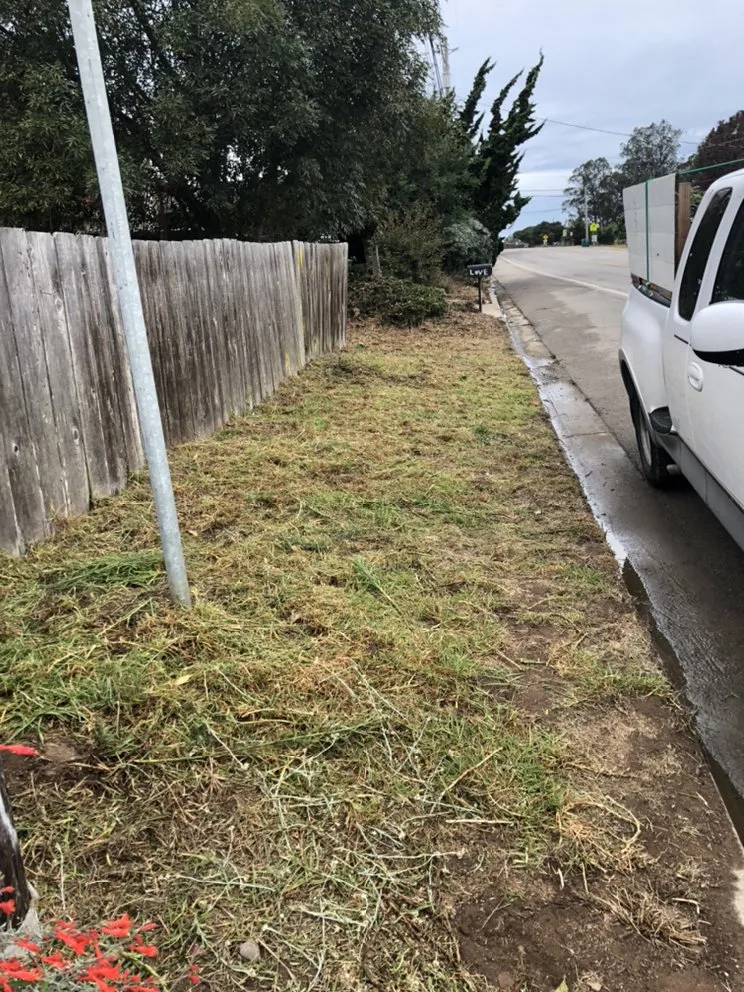 Top-rated landscape design in San Luis Obispo, CA by Bela Vasquez Landscape Services