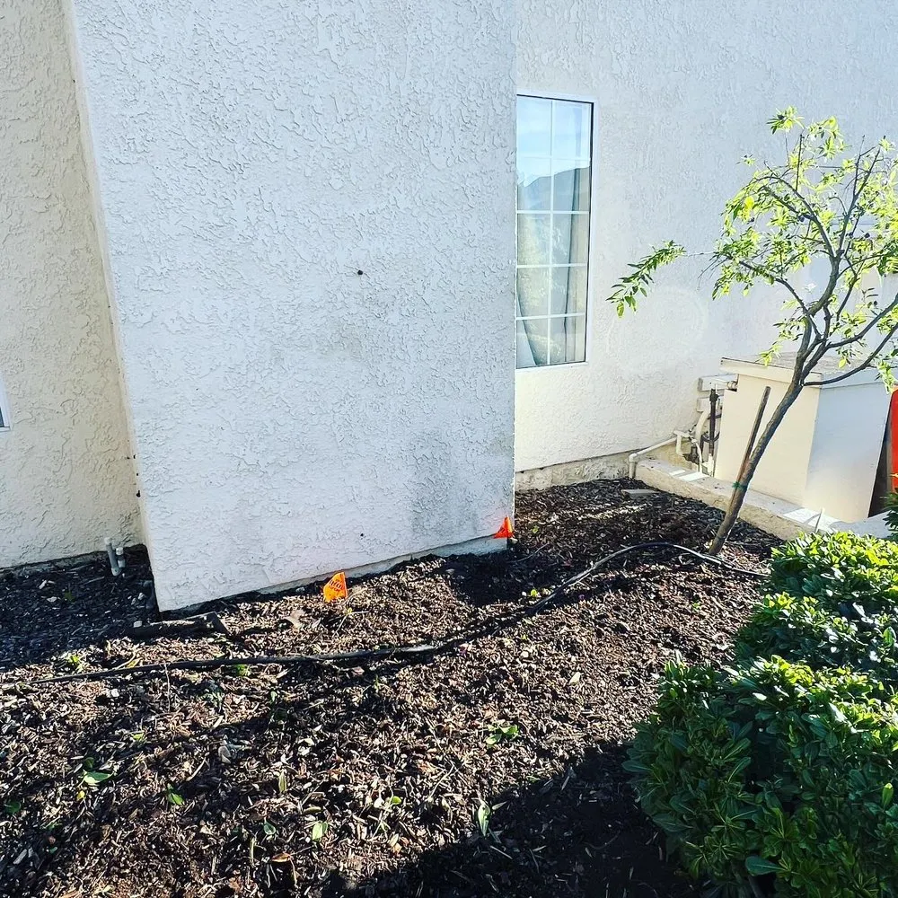 Trusted yard maintenance in San Luis Obispo, CA - Bela Vasquez Landscape Services