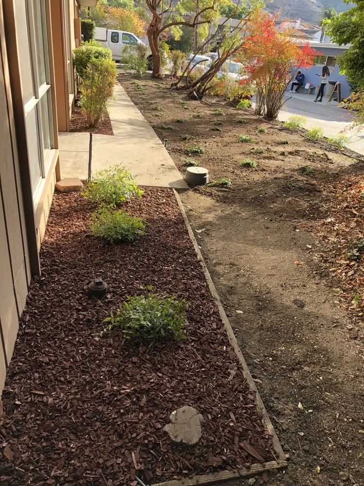 Trusted garden landscaping for beautiful yards in San Luis Obispo, CA by Bela Vasquez Landscape Services