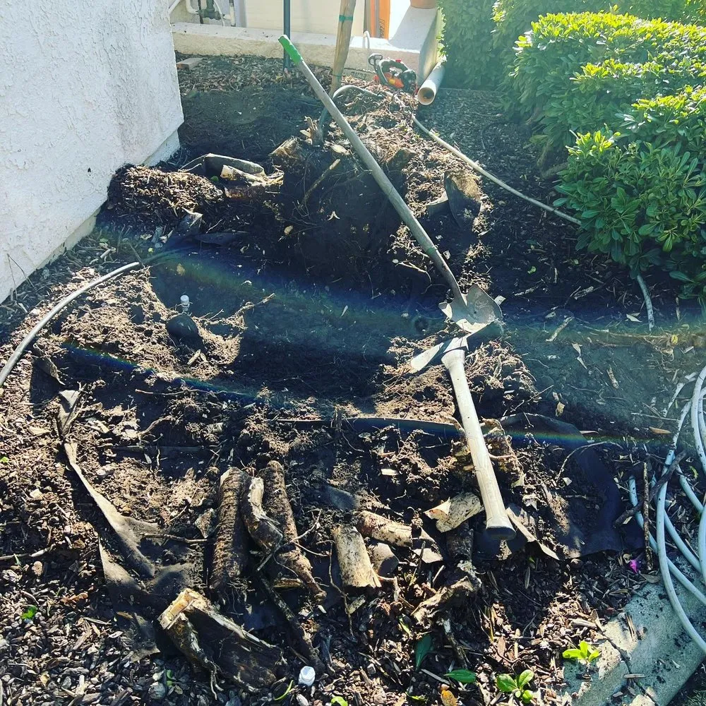 Top-rated lawn care service in San Luis Obispo, CA by Bela Vasquez Landscape Services