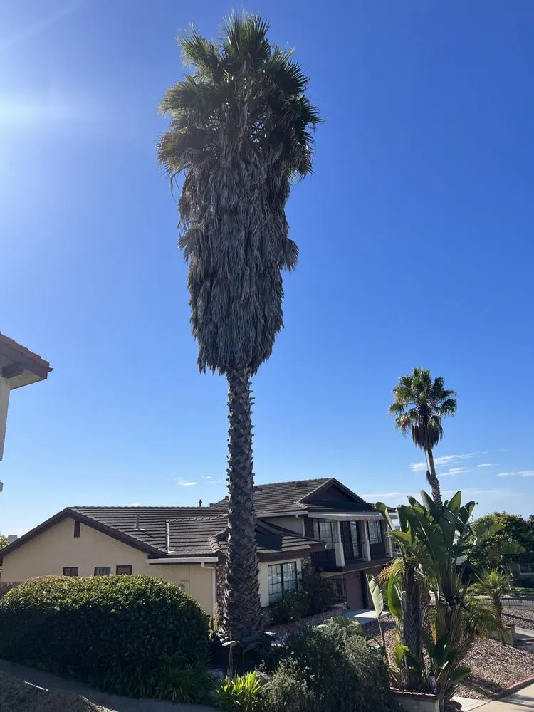 Reliable landscape design in San Luis Obispo, CA - Bela Vasquez Landscape Services