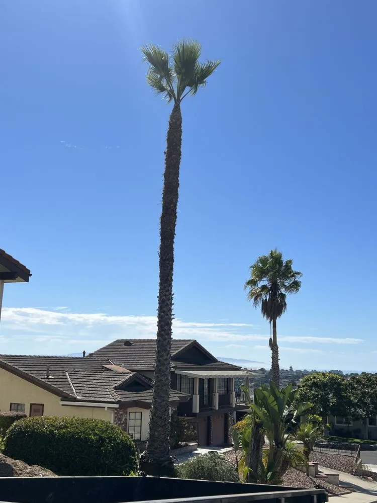 Expert landscape design experts serving San Luis Obispo, CA - Bela Vasquez Landscape Services