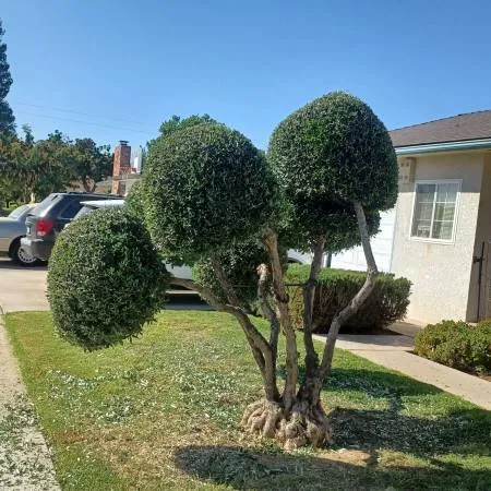 Expert landscape installation near you across Wytheville, VA - Belcher Services