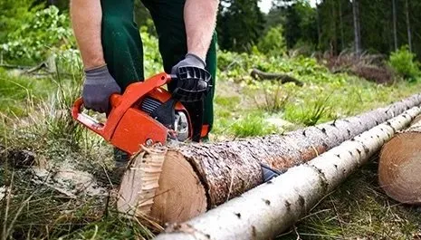 Expert yard cleanup service experts serving Wytheville, VA - Belcher Services