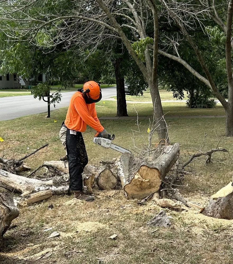 Expert outdoor landscaping experts serving Dallas, TX - Beleaf