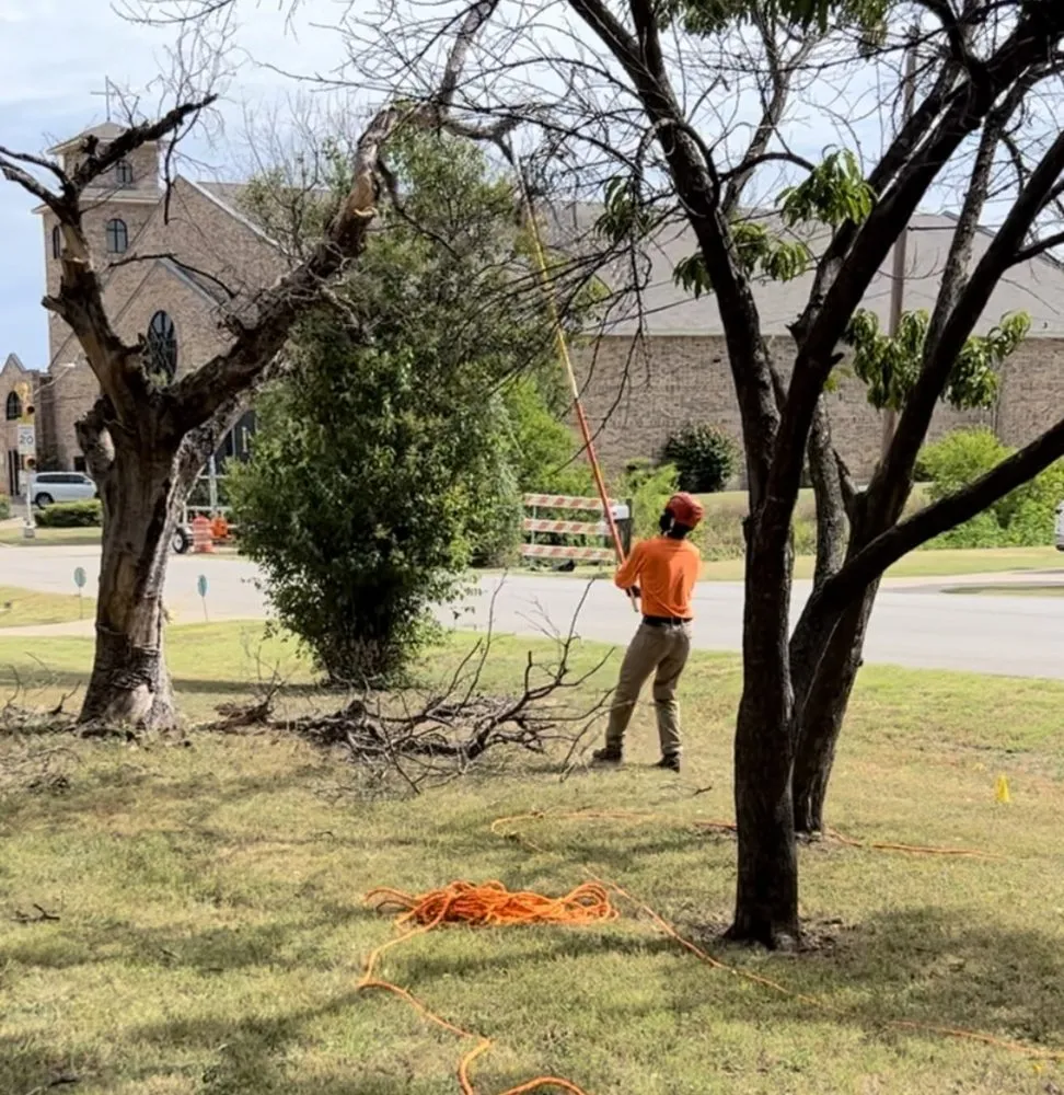 Custom garden landscaping for homes across Dallas, TX - Beleaf