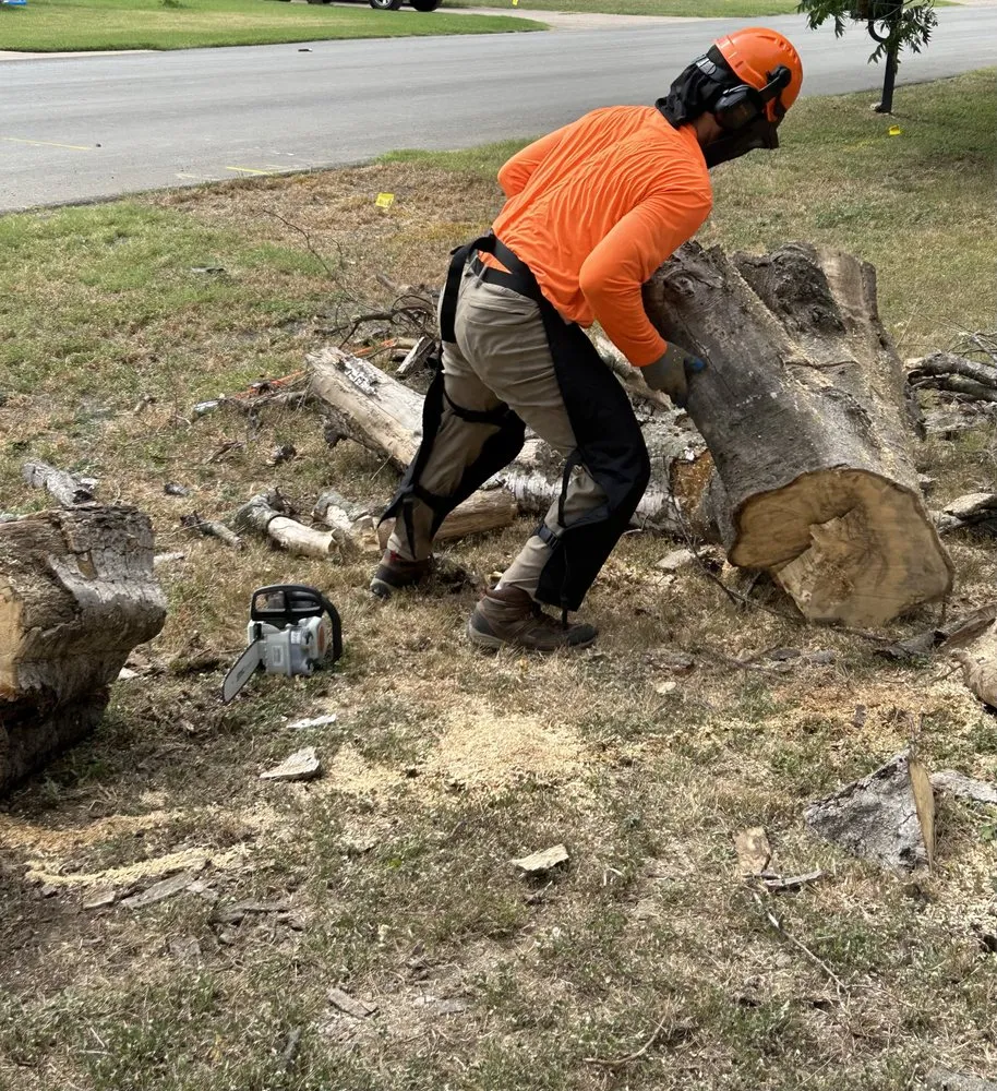 Affordable landscape installation experts serving Dallas, TX - Beleaf