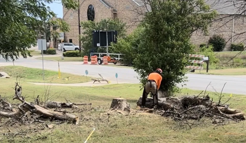 Local lawn mowing service in Dallas, TX by Beleaf