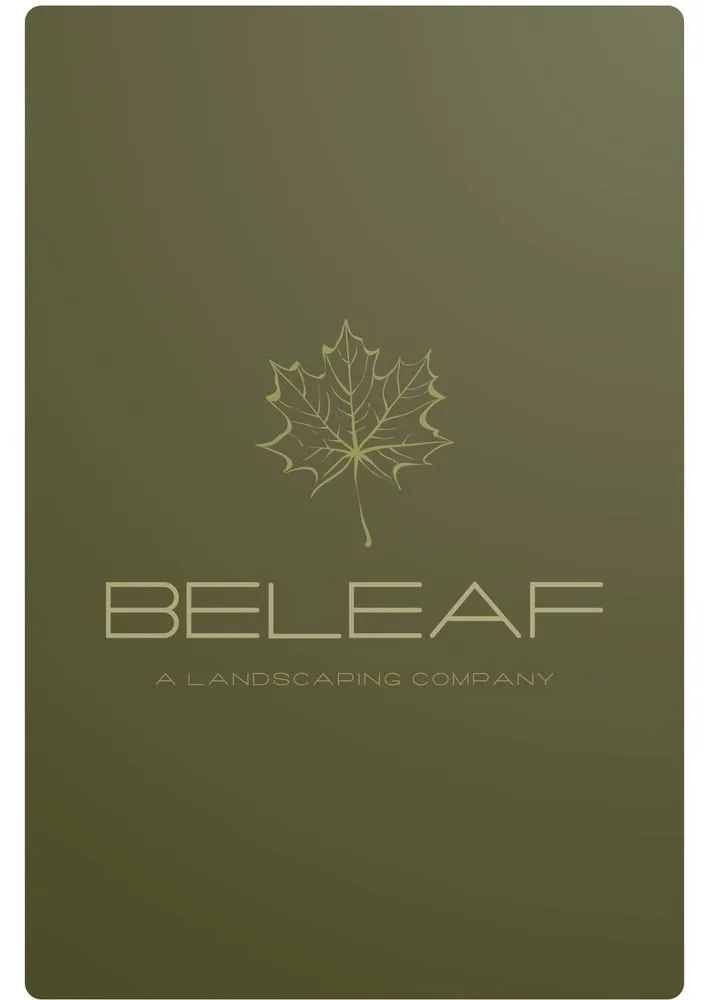 Expert lawn care service in Dallas, TX by Beleaf