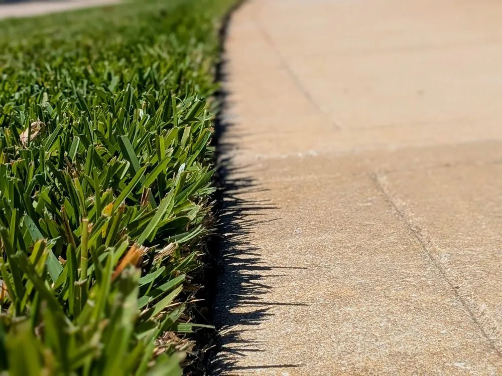 Reliable yard cleanup service near you across Merritt Island, FL - Beleza Lawn Care