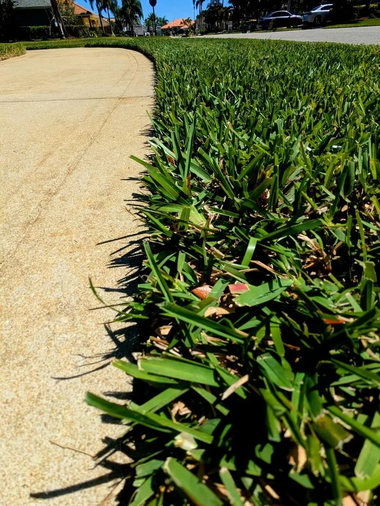 Trusted yard maintenance for residential properties in Merritt Island, FL by Beleza Lawn Care