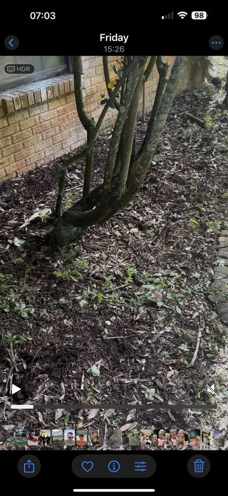 Professional landscape design in Merritt Island, FL - Beleza Lawn Care