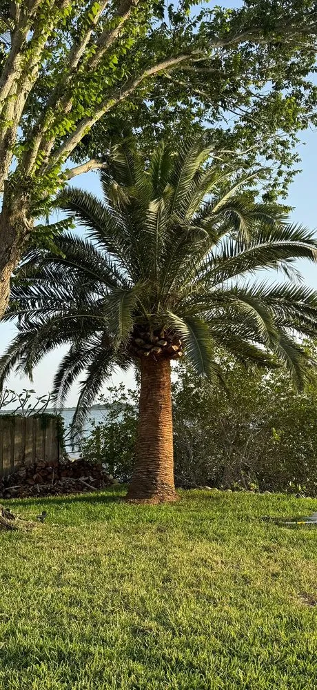 Local garden landscaping in Merritt Island, FL by Beleza Lawn Care