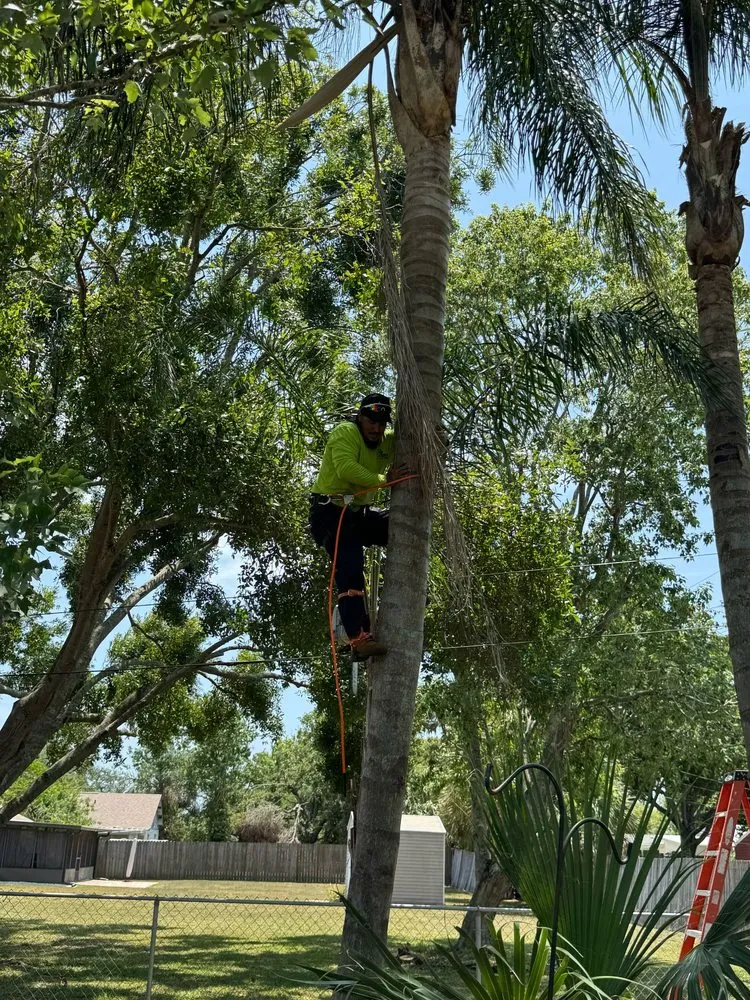 Affordable yard cleanup service with custom design across Merritt Island, FL - Beleza Lawn Care