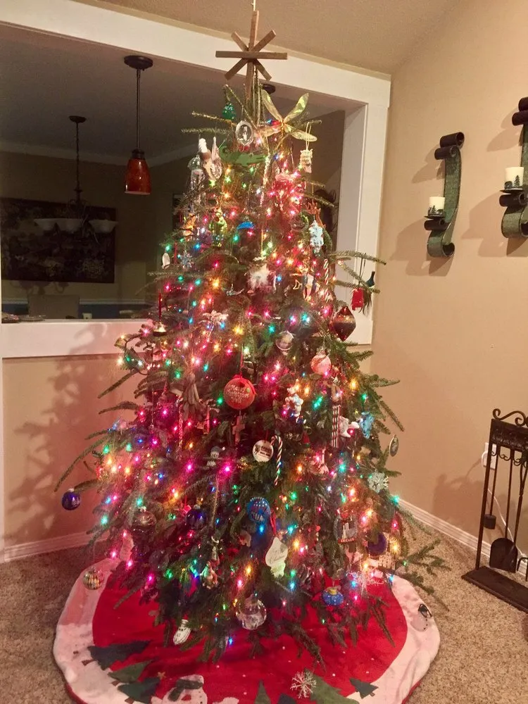 Trusted yard cleanup service in Daphne, AL - Belforest Landscaping