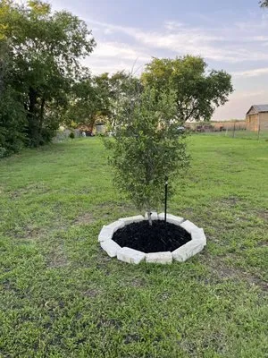 Belico Landscaping Logo