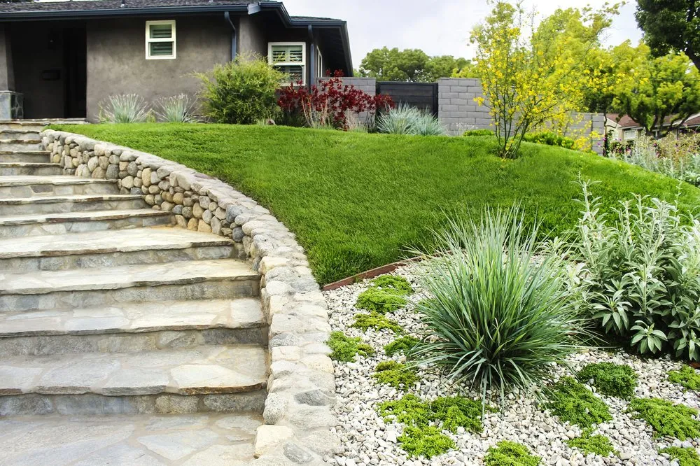 Custom yard cleanup service in Petaluma, CA - Believable Landscaping