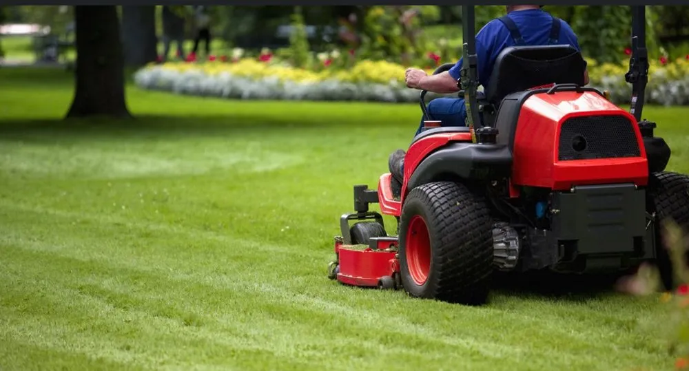 Top-rated lawn mowing service experts serving Philmont, NY - Believe in Us Cleaning