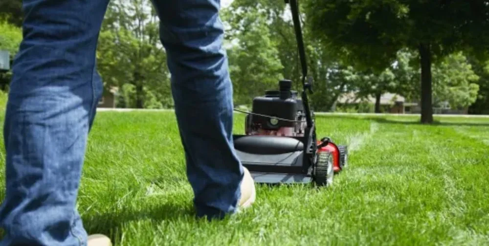 Reliable garden landscaping for homes in Philmont, NY by Believe in Us Cleaning