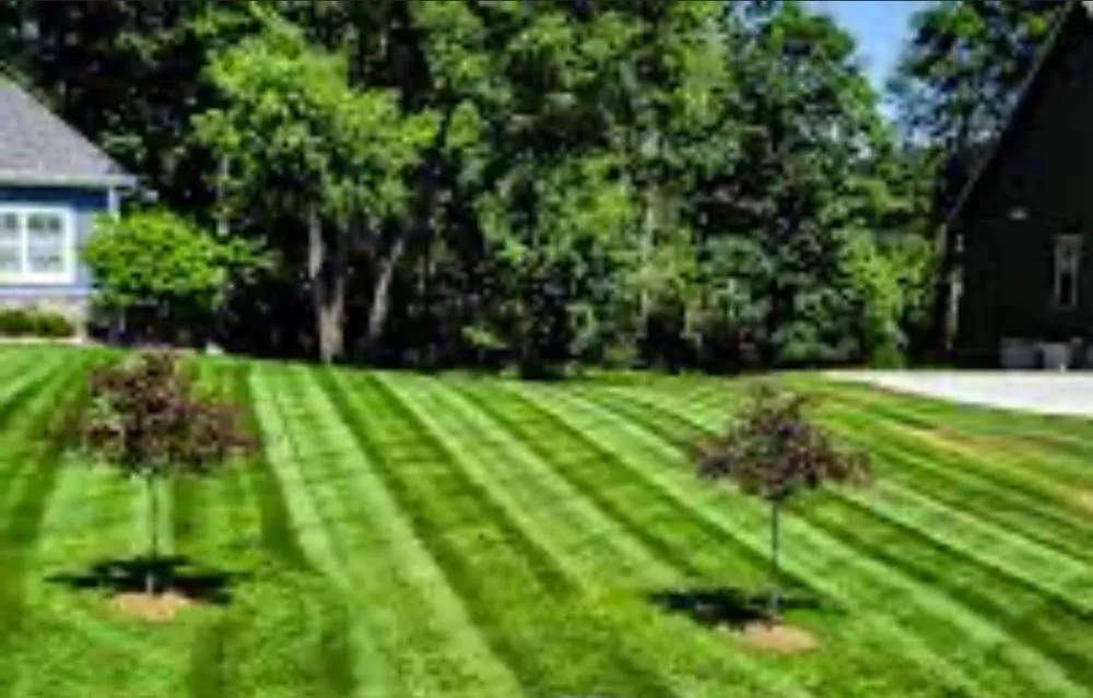 Local outdoor landscaping for homes in Philmont, NY by Believe in Us Cleaning