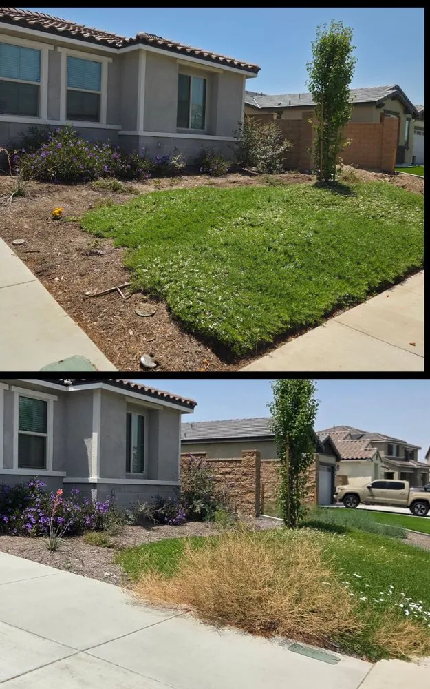Reliable outdoor landscaping for homes across Sun City, CA - Believe It Landscape & Maintenance