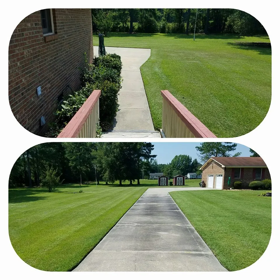 Professional yard cleanup service in Hartsville, SC by Belin Superior Lawn Service