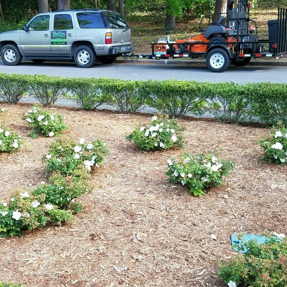 Reliable landscape design for beautiful yards across Hartsville, SC - Belin Superior Lawn Service