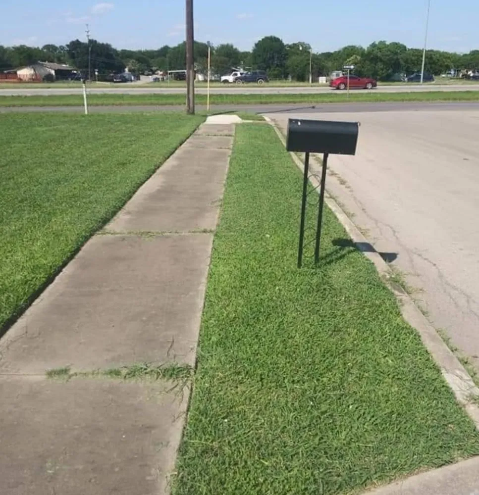 Expert yard cleanup service in San Antonio, TX by Belithian Services