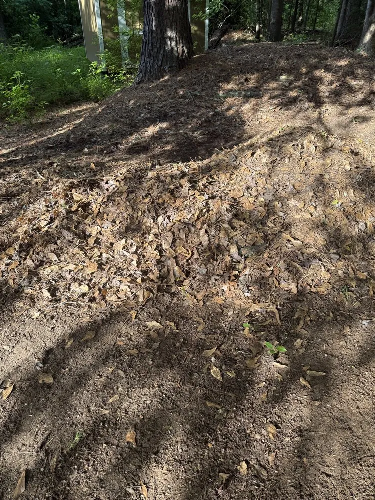 Expert outdoor landscaping for residential properties across Sanford, NC - Belk in a Box