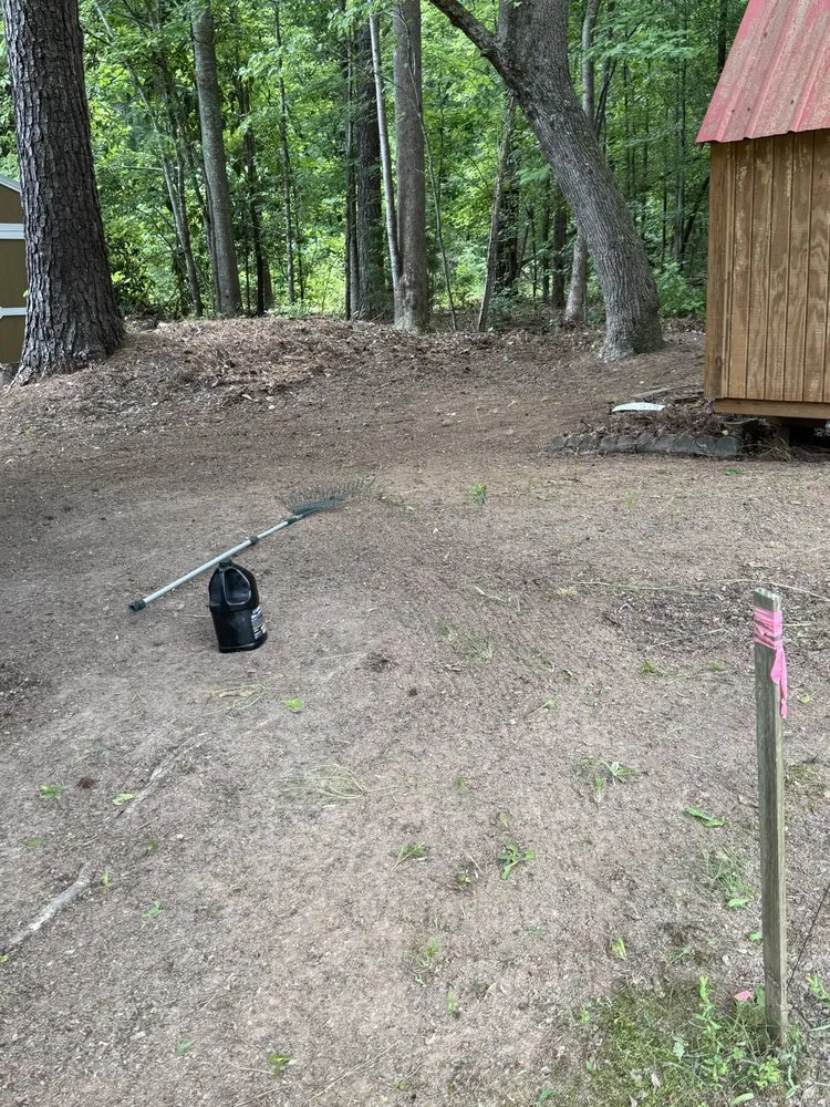 Professional lawn mowing service in Sanford, NC by Belk in a Box