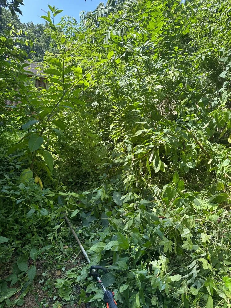 Top-rated landscaping services near you across Lithonia, GA - Belk Landscaping