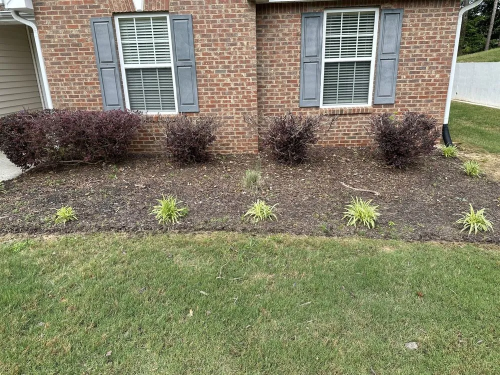 Affordable landscape design experts serving Lithonia, GA - Belk Landscaping