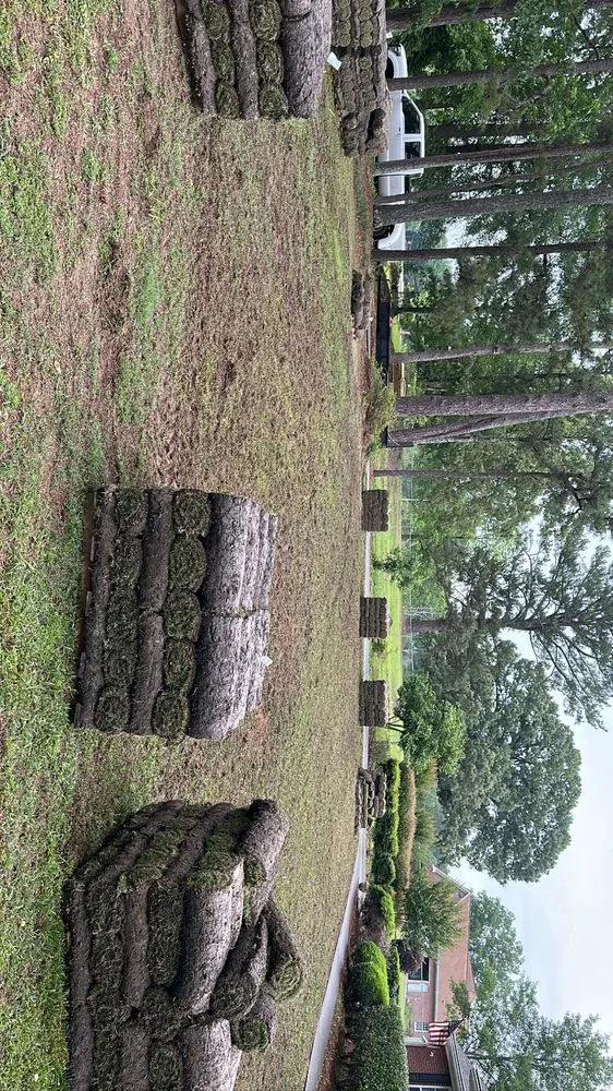 Top-rated yard maintenance near you across Lithonia, GA - Belk Landscaping