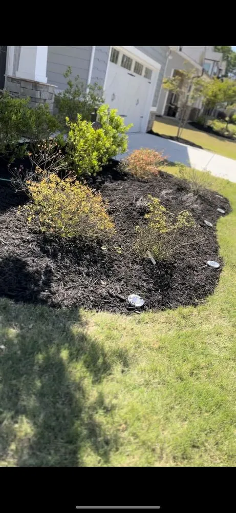 Expert outdoor landscaping experts serving Lithonia, GA - Belk Landscaping