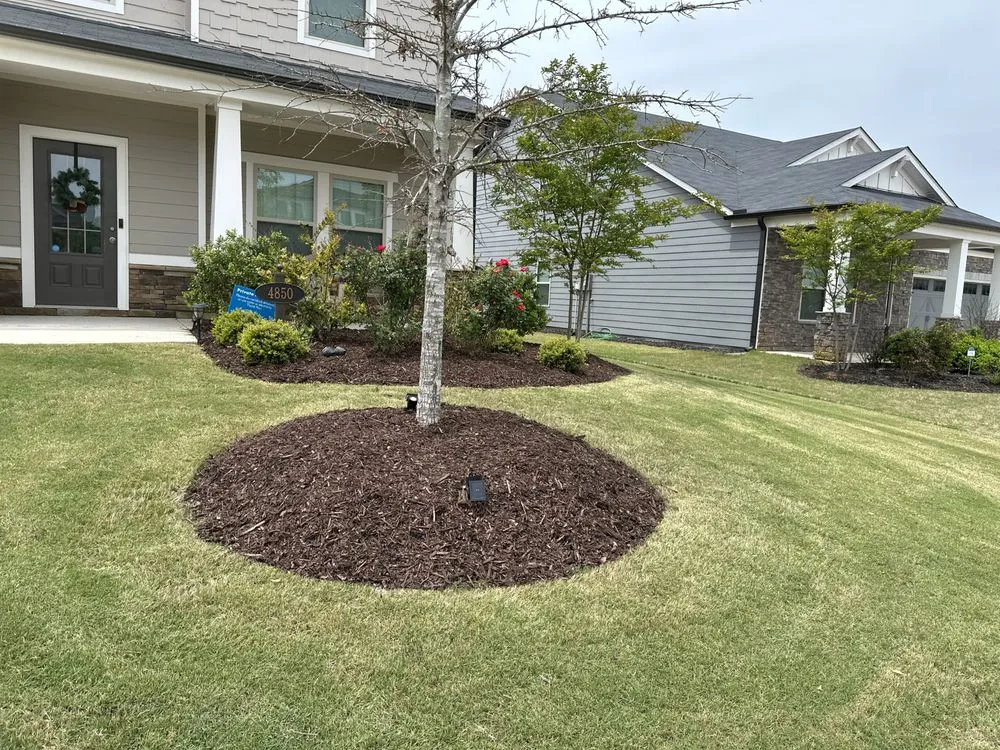 Professional lawn care service in Lithonia, GA - Belk Landscaping