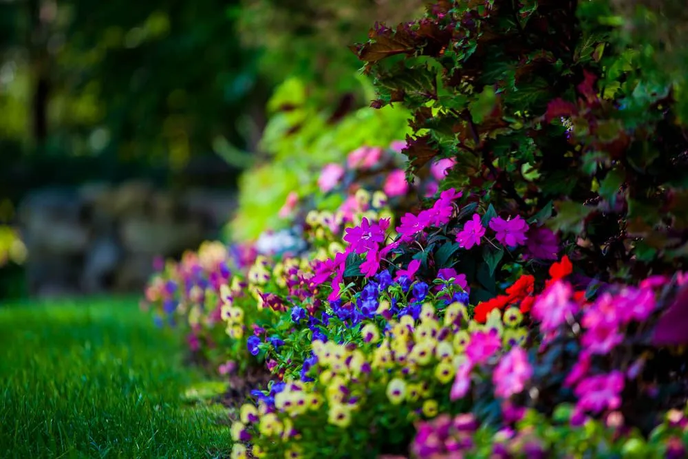 Expert garden landscaping in Gilford, NH by Belknap Landscape