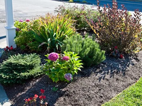 Reliable lawn care service experts serving Salem, NH - Belko Landscaping