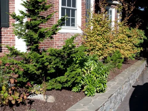 Local yard cleanup service near you in Salem, NH by Belko Landscaping
