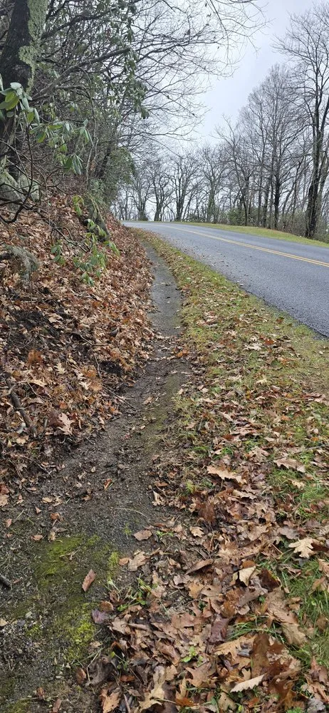 Local lawn mowing service experts serving Raleigh, NC - Bell Contracting Services