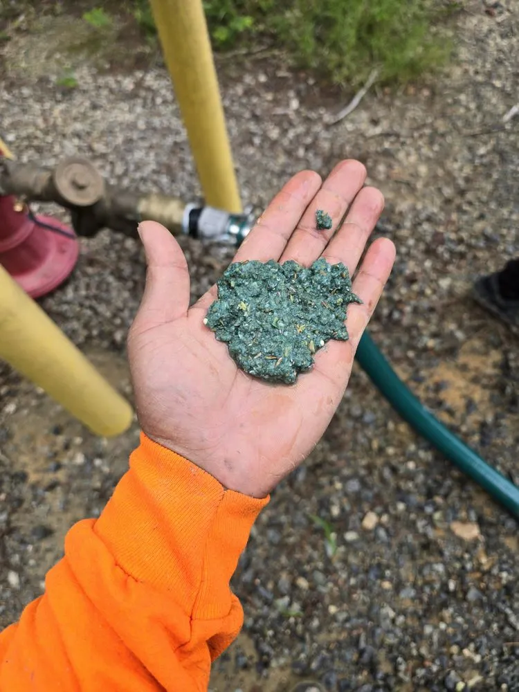 Top-rated outdoor landscaping for year-round maintenance in Raleigh, NC by Bell Contracting Services