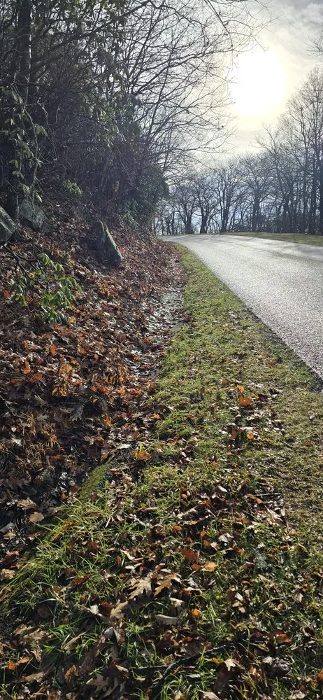 Affordable yard maintenance for year-round maintenance in Raleigh, NC by Bell Contracting Services