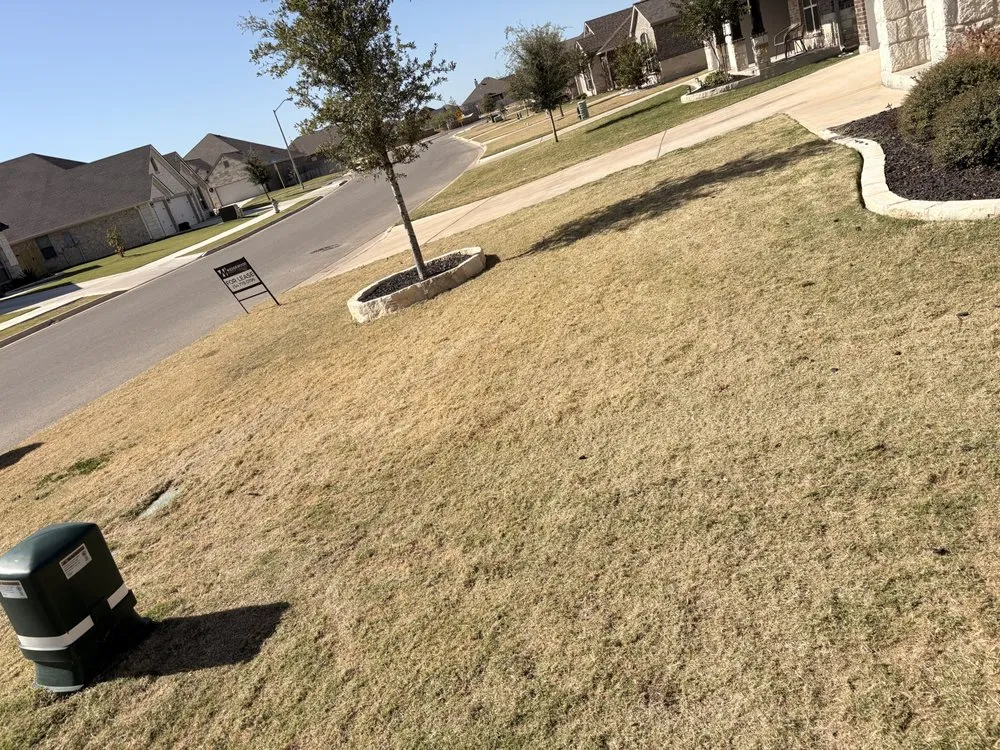 Top-rated yard maintenance for residential properties across Temple, TX - Bell County Lawncare