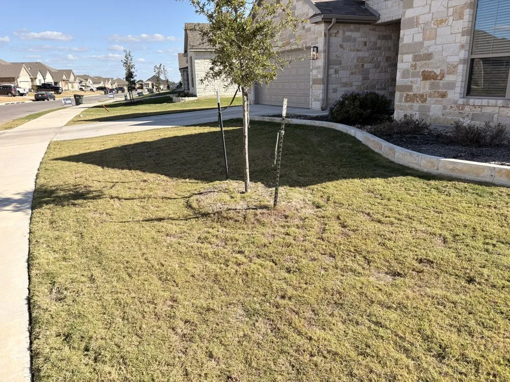 Trusted yard cleanup service in Temple, TX by Bell County Lawncare