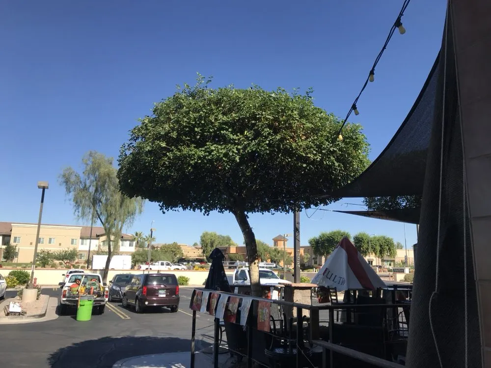 Top-rated residential landscaping in Tempe, AZ - Bell de Mar Landscaping & Maintenance