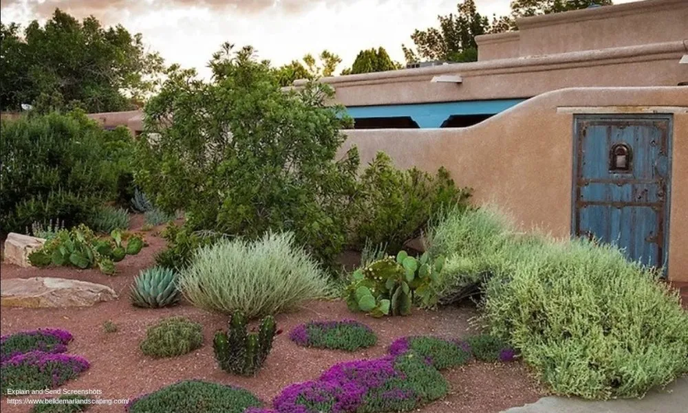 Reliable residential landscaping in Tempe, AZ - Bell de Mar Landscaping & Maintenance